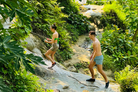 Chiang Mai:Sticky Watefall private tour with lunch