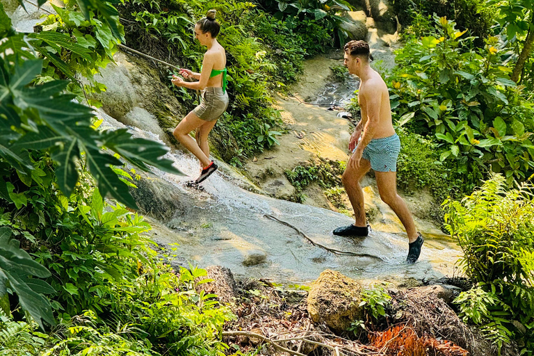 Chiang Mai:Sticky Watefall private tour with lunch