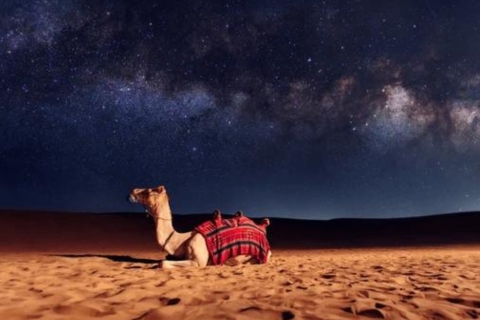 Private Night Desert Safari Stargazing and Camel Ride