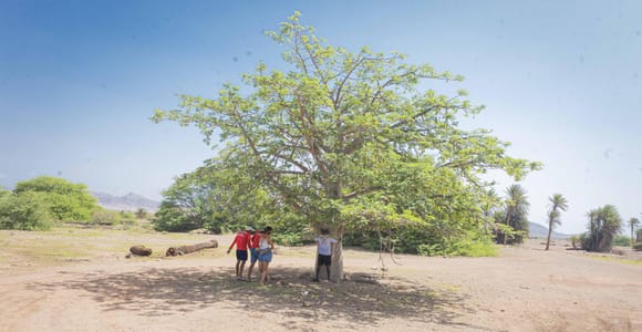 Boa Vista: Full-Day Tour South to Southwest All-Inclusive