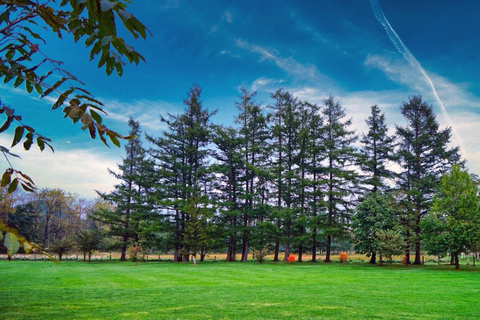 Sapporo: Hokkaido Snowy Wilderness Day Tour