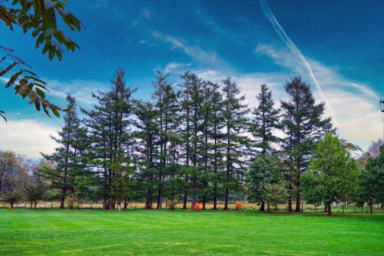 Sapporo: Hokkaido Snowy Wilderness Day Tour