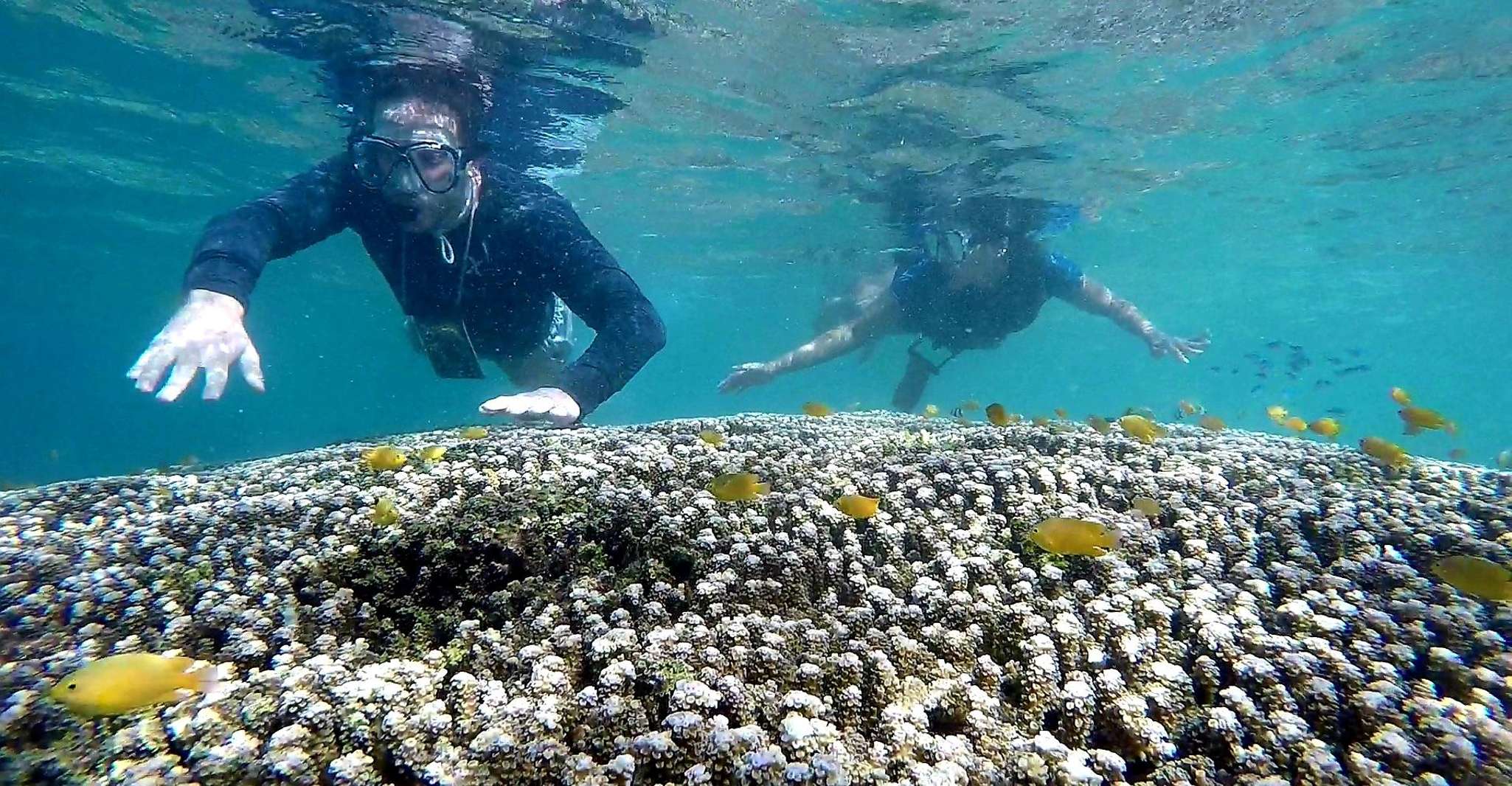 Visite partagée, aventure de plongée Moalboal et canyoning - Hizvo