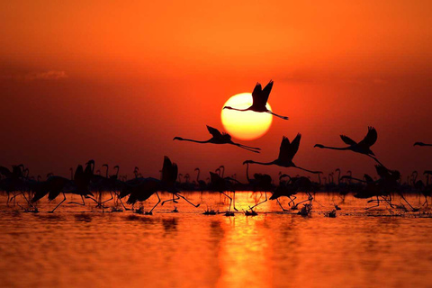 Passeio incrível ao pôr do sol na Capadócia até o Lago Salgado