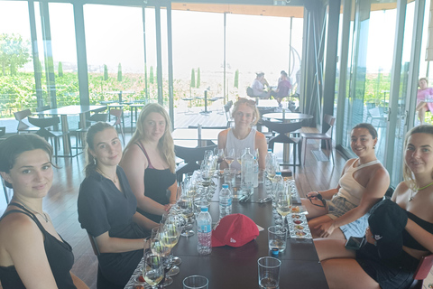 Half- day wine tasting experience from Thessaloniki