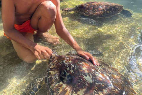 ZANZIBAR: Stone Town, snorkling + sjöstjärnor och havssköldpaddorVIKTIGT: TRANSFER INGÅR INTE I DET ALTERNATIV DU VÄLJER