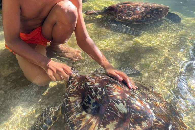 ZANZIBAR: Stone Town, snorkling + sjöstjärnor och havssköldpaddorVIKTIGT: TRANSFER INGÅR INTE I DET ALTERNATIV DU VÄLJER
