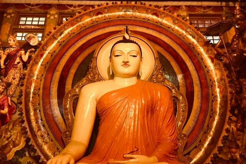 From Colombo: Dambulla, Sigiriya, and Jeep Safari Day Trip