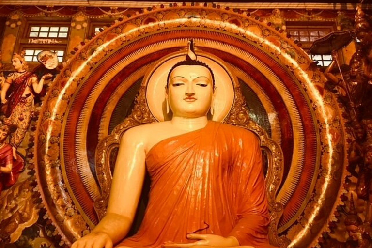 From Colombo: Dambulla, Sigiriya, and Jeep Safari Day Trip
