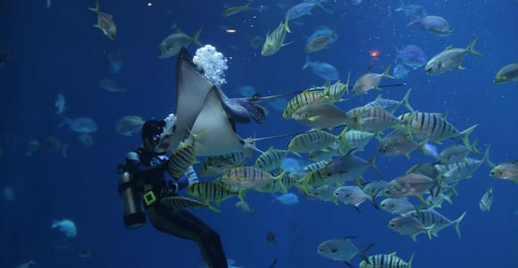 Djerba: Discover Scuba Diving Experience with Instructor