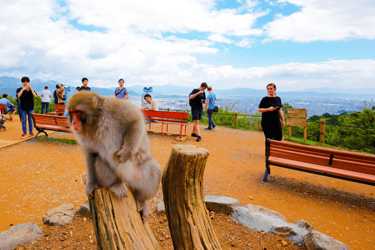 Kyoto: Arashiyama UNESCO Walking Tour with Admission