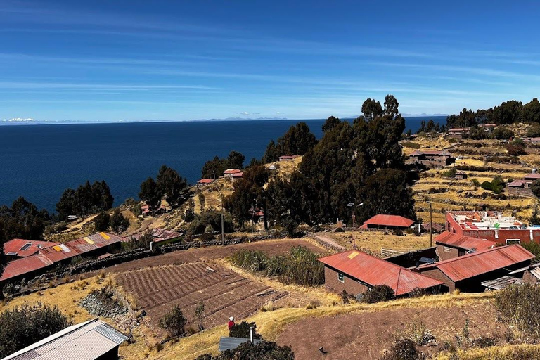 Puno : Journée complète sur les îles flottantes des Uros + Taquile + guide parlant anglais/espagnol