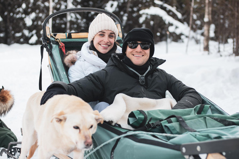 Fairbanks: Mush auf dem historischen Yukon Quest Trail