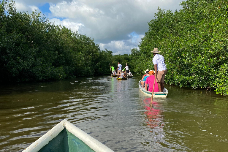 Heerlijk ontspannen aan zee en ecotoer in natuurlijke mangrovebossen