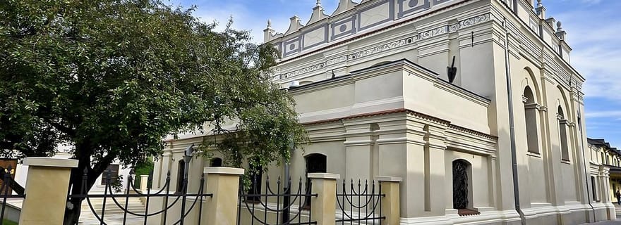 Visite à pied privée : le charme de Zamosc