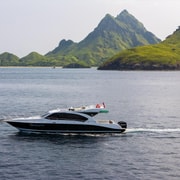 Labuan Bajo : Parc national de Komodo : visite d'une jounée en bateau à moteur