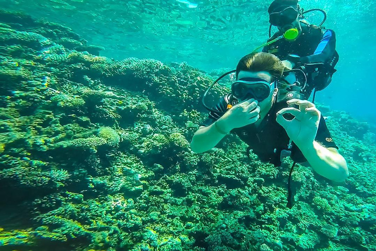 From Sharm: Luxury Diving cruise to Ras Mohammed with Lunch 1 professional dive with pickup and lunch