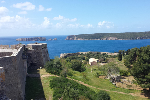 Private Tagestour von Kalamata zum Palast des Nestor und nach Pylos