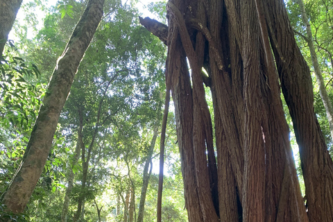 Tour delle cascate e delle grotte del Parco Nazionale di Tijuca