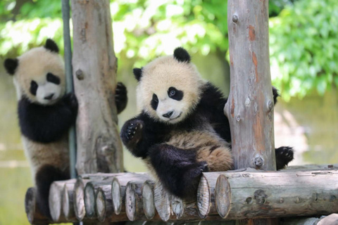 Shanghai: Wildlife Park, Xinchang, and Bund Private Tour