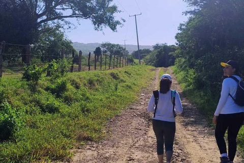 Barranquilla: Caminata en los bosque de bajo obstion-juaruco