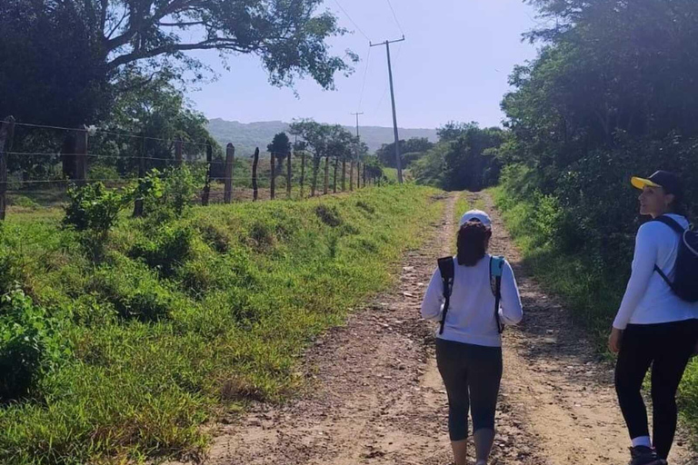 Barranquilla: Caminhada nos bosques baixos de obstion-juaruco