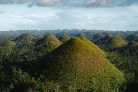 Bohol: Premium Chocolate Hills, Tarsiers &amp; River Experience