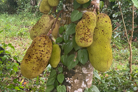Sansibar : Gewürzfarm &amp; Rundgang in Stone Town