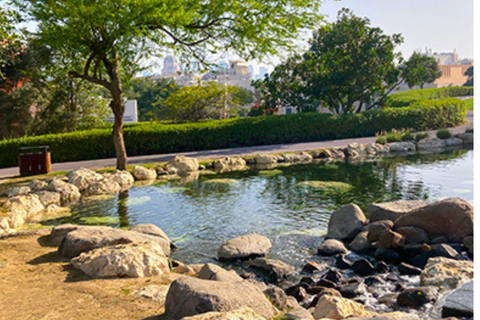 Doha durch die Linse: Führung zu ikonischen und versteckten FotomotivenDoha durch die Linse: Führung zu bekannten und versteckten Orten