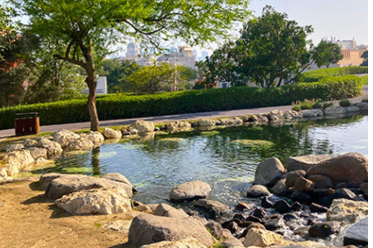 Doha durch die Linse: Führung zu ikonischen und versteckten FotomotivenDoha durch die Linse: Führung zu bekannten und versteckten Orten