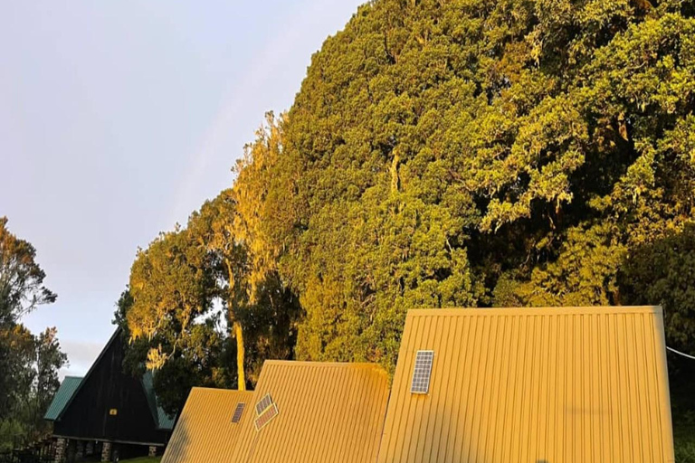 كليمنجارو: رحلة سيرًا على الأقدام في طريق مارانجو لمدة 7 أيام مع مكان إقامة في كوخكليمنجارو: رحلة ما