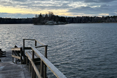 Furuvik seaside sauna: Sauna and Cold Plunge Experience