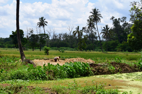 Moshi: Rau-Wald (Wanderung oder Radtour)Wandern im Rau-Wald