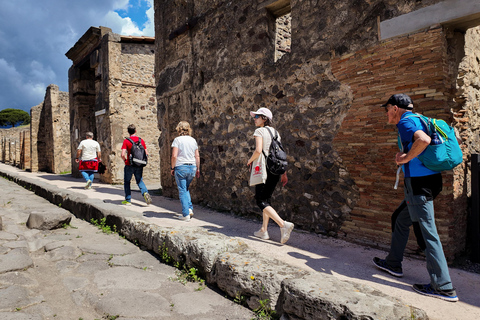 From Naples Port: Pompeii Guided Walking tour or smart guide English guided tour