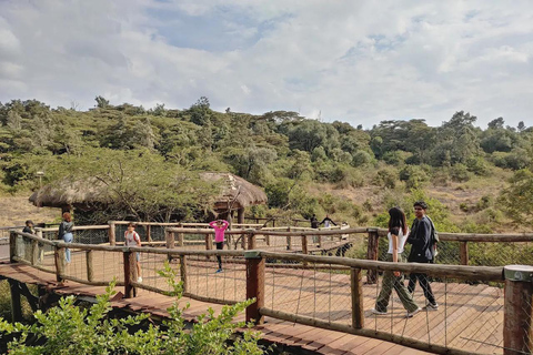 Nairobi National Park Luxury Picnic Game Drive