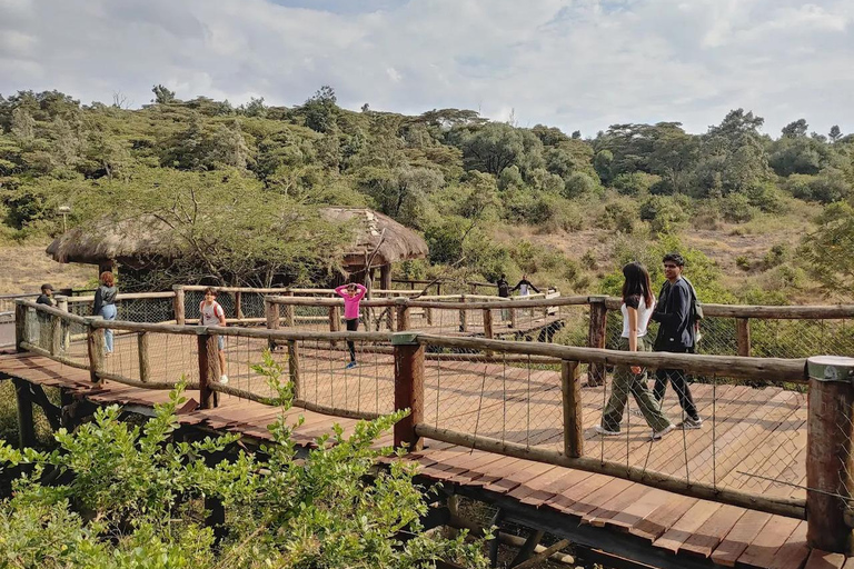 Nairobi National Park Luxury Picnic Game Drive
