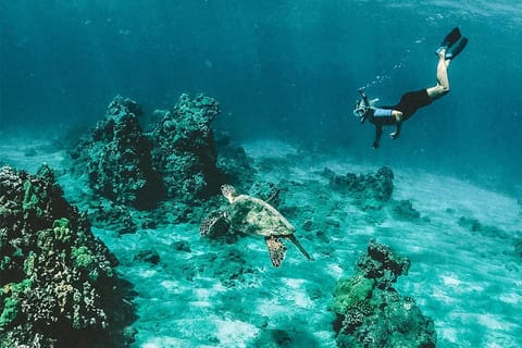 Guided Diving in the Beauty of Angra dos Reis