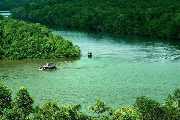 Ciudad Ho Chi Minh: Excursión de un día a la Isla de los Monos de Can Gio con almuerzo