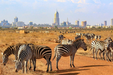 Nairobi: Parco Nazionale di Nairobi: giro di caccia mattutino