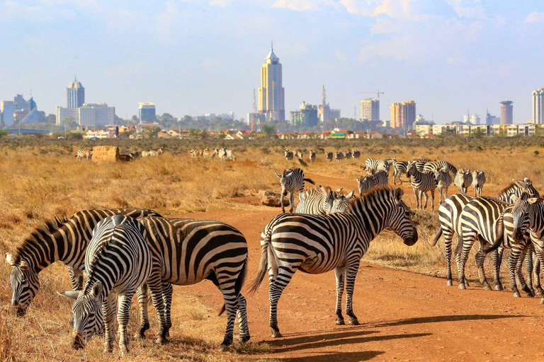 Nairobi: Parco Nazionale di Nairobi: giro di caccia mattutino