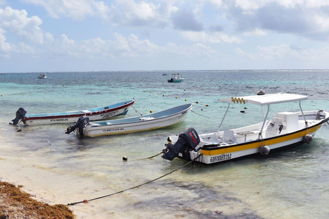 Puerto Morelos: Snorkel in Coral Reef with transportation Tour from Tulum