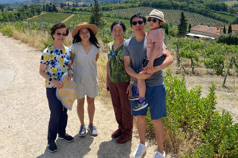 Tour di Siena e San Gimignano in van da Lucca o Pisa