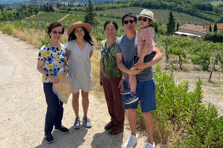 Tour di Siena e San Gimignano in van da Lucca o Pisa