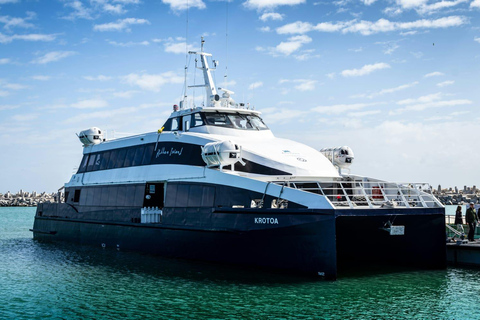 Cape Town: Robben Island Ticket with Ferry & Transfers