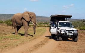 Premium Afternoon Private Reserve Safari with Boma Dinner