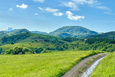 From Belgrade: 6-Day Šumadija Trail Horseback Riding Tour