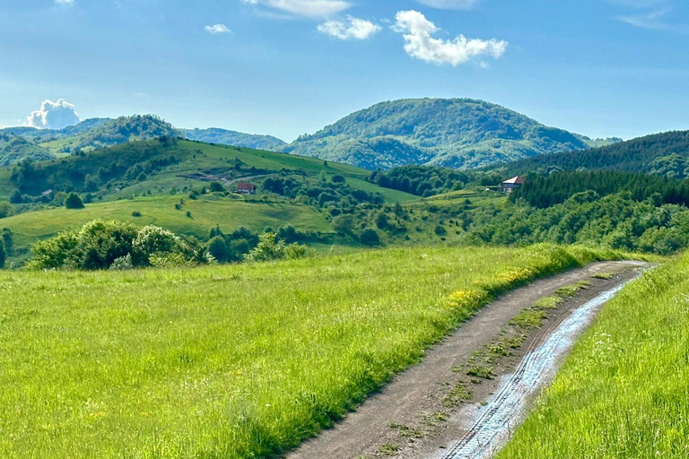 From Belgrade: 6-Day Šumadija Trail Horseback Riding Tour