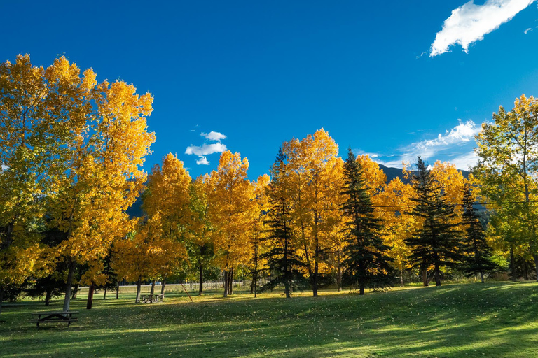 Explore Banff National Park - Exclusive Small Group Tour