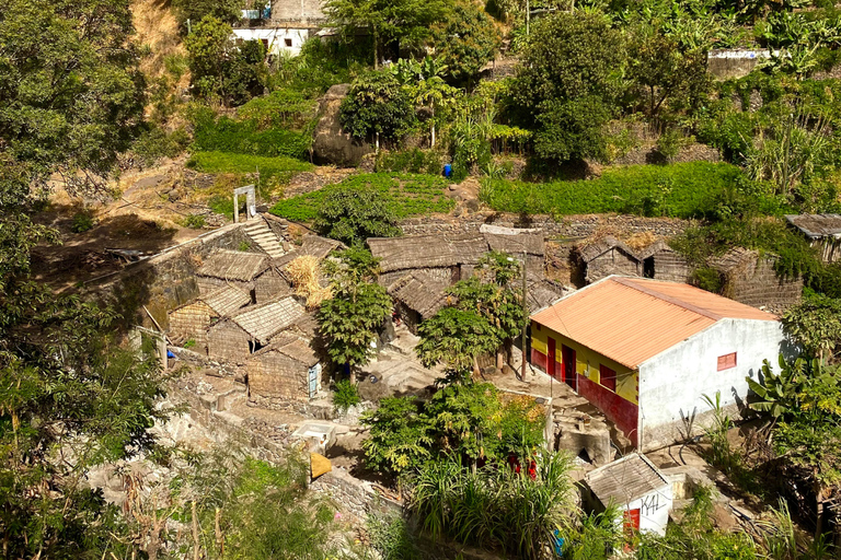 Santiago: Visit the largest banana and coconut plantation & botanical garden From the Beach: Visit a Banana and Coconut Plantation & Botanical Garden with Tastings