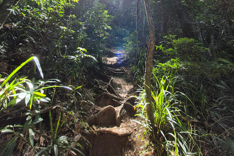 Paraty: Mamangua's Sugarloaf Hike with taxiBoat and transfer